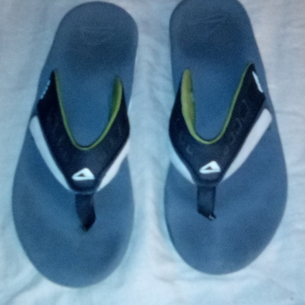 Reef flip flops